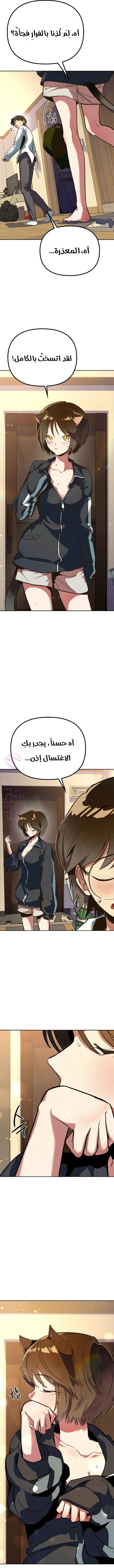 الصفحة 27