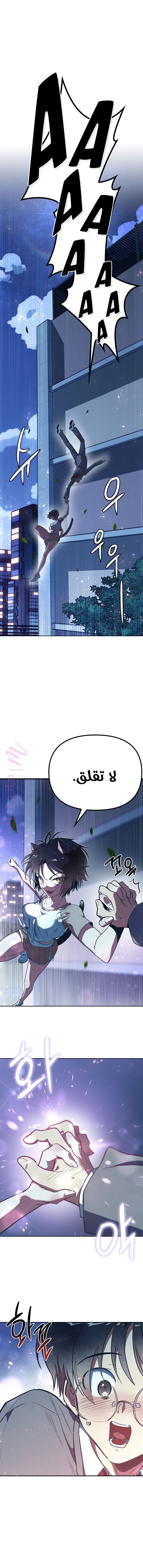 الصفحة 2