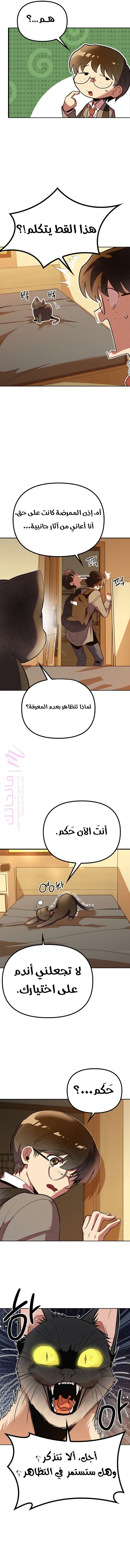 الصفحة 25