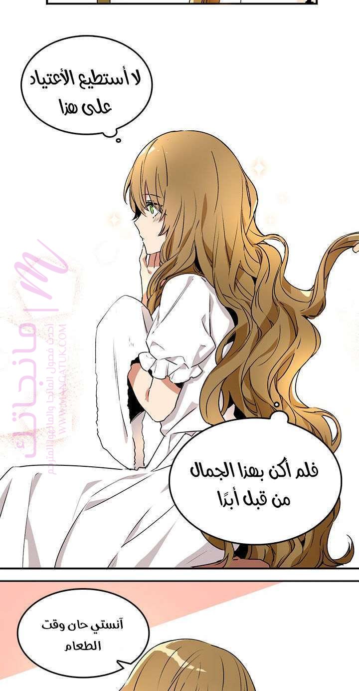 الصفحة 29