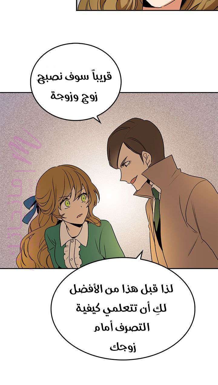 الصفحة 17