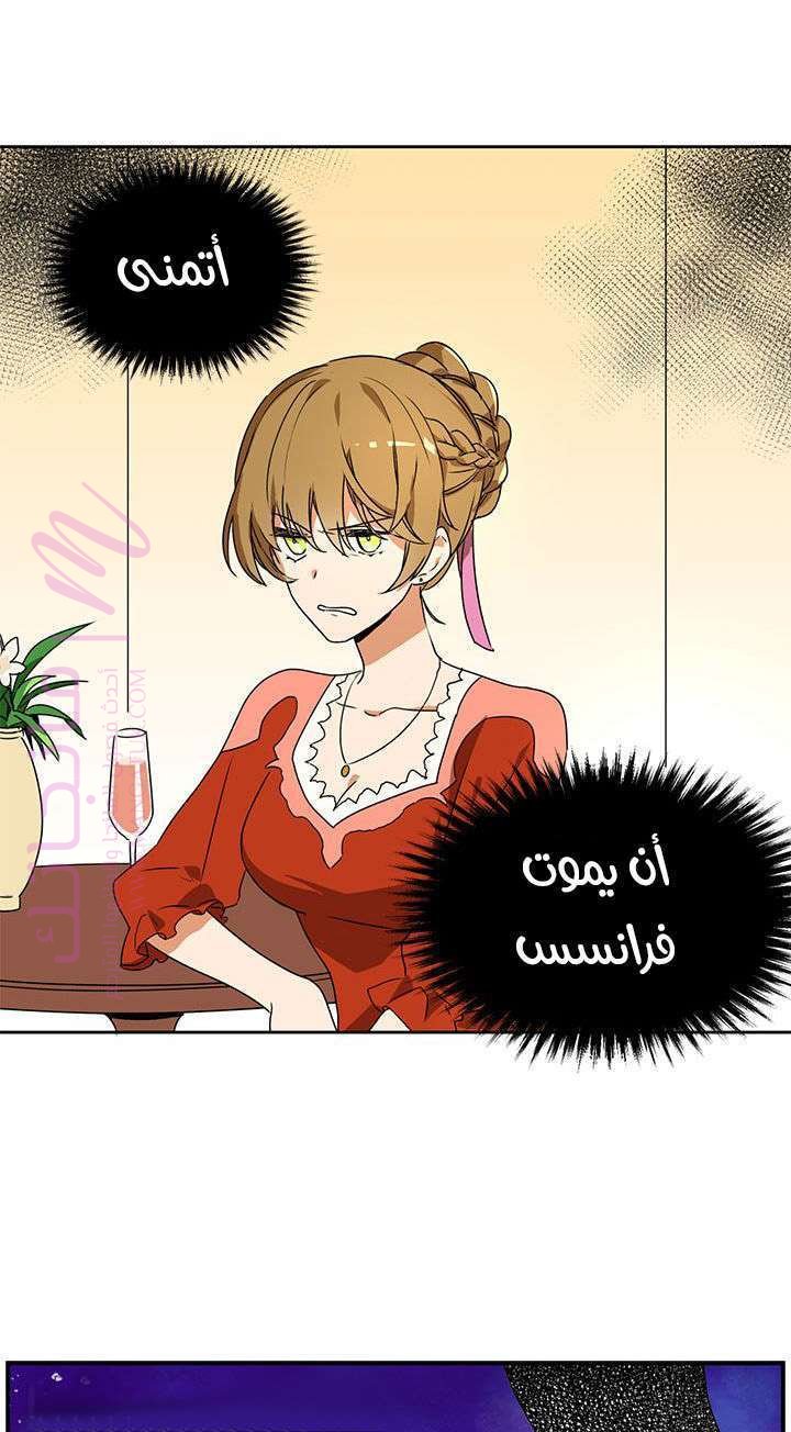 الصفحة 19