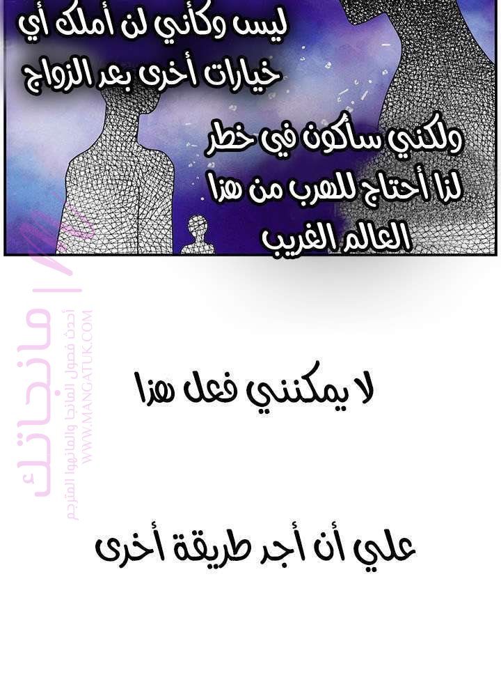 الصفحة 41