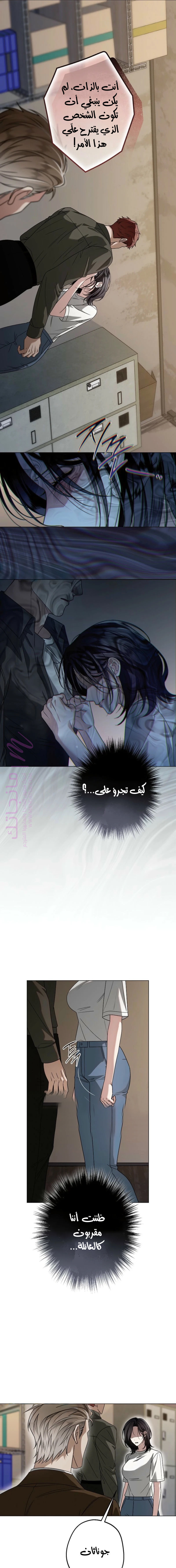الصفحة 13
