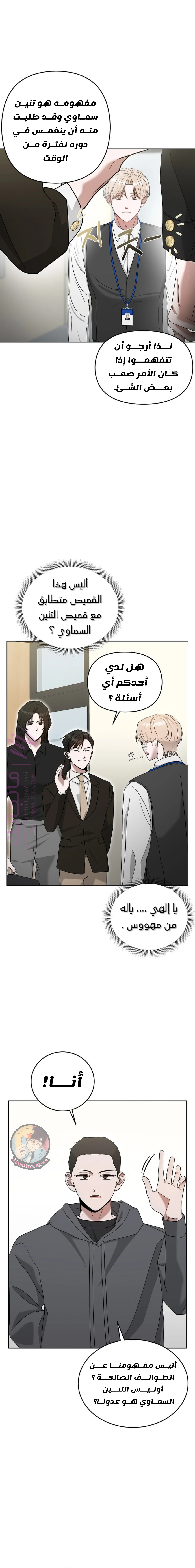 الصفحة 12