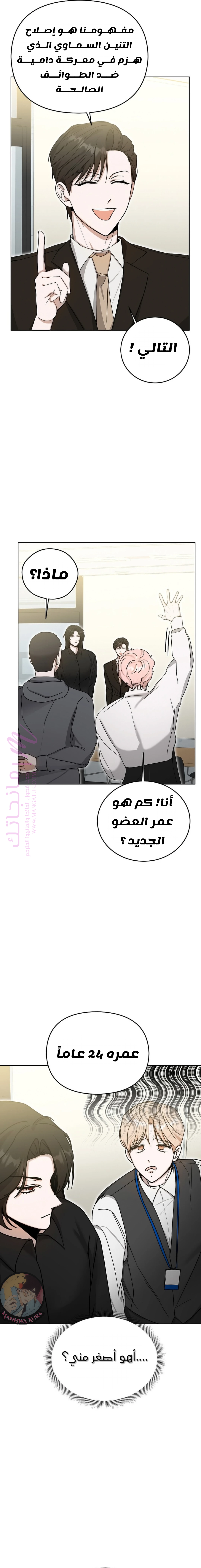 الصفحة 13