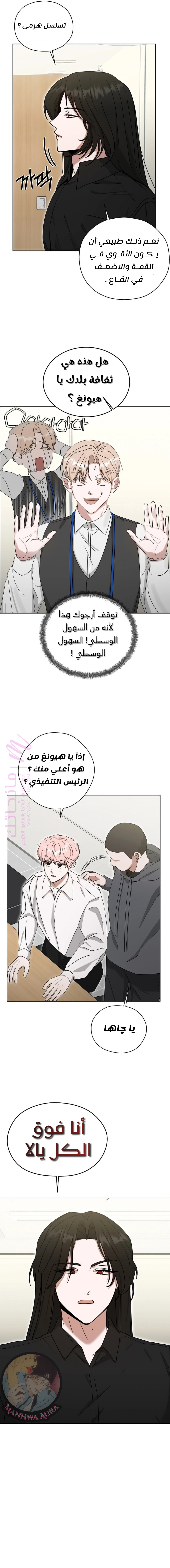 الصفحة 17