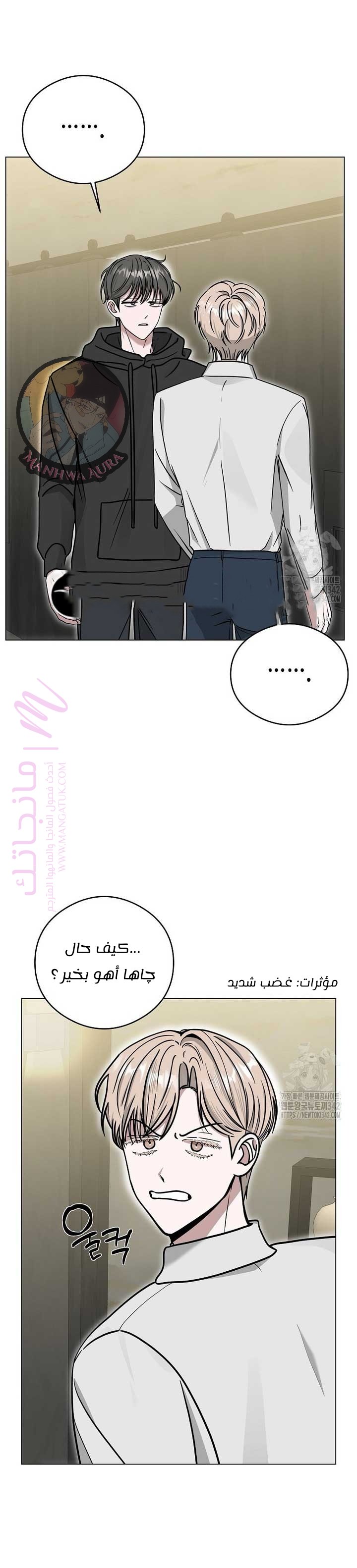 الصفحة 17
