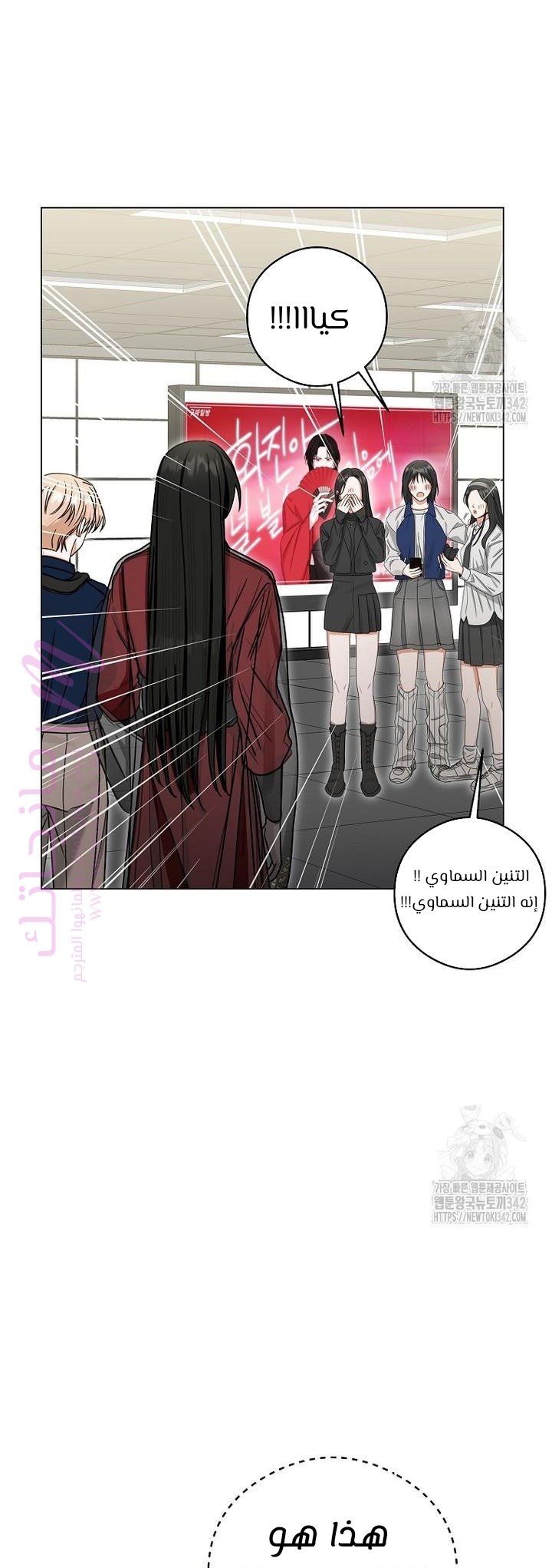 الصفحة 17