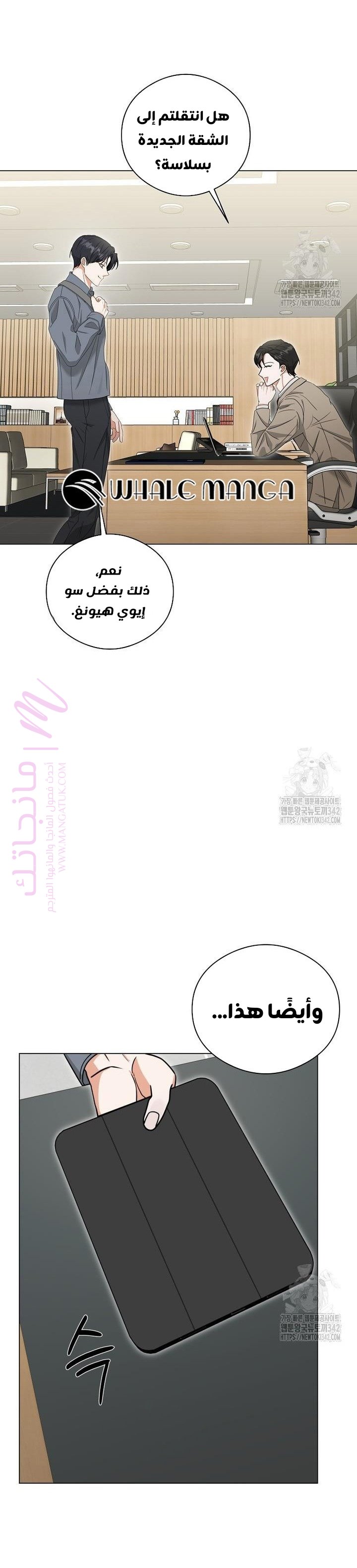 الصفحة 27