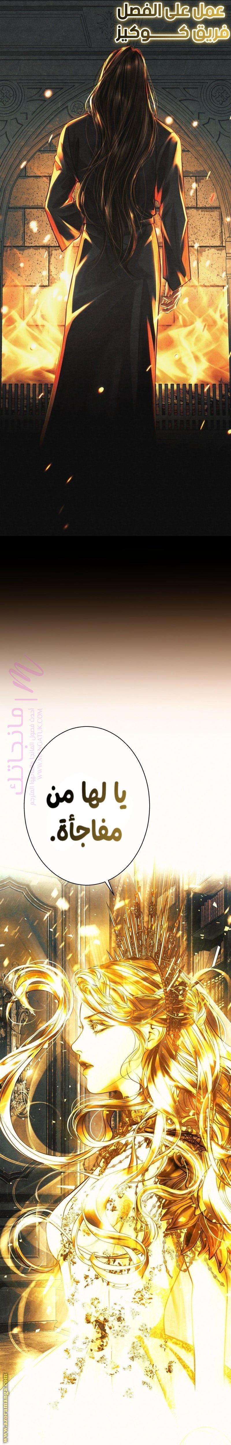 الصفحة 29