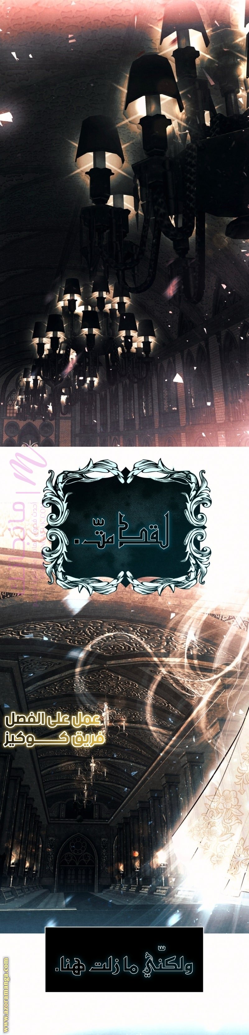 الصفحة 17