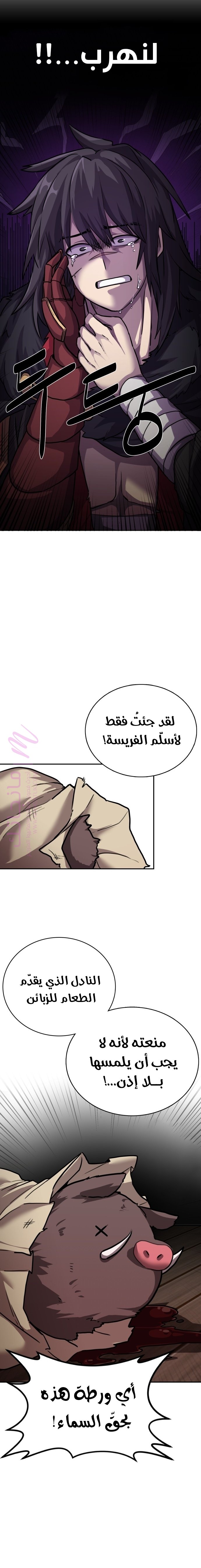 الصفحة 27