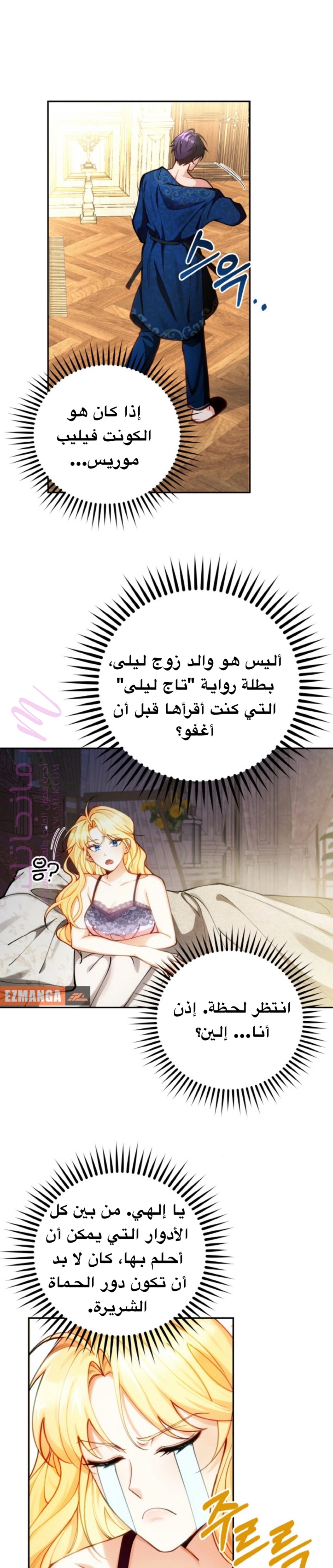 الصفحة 11