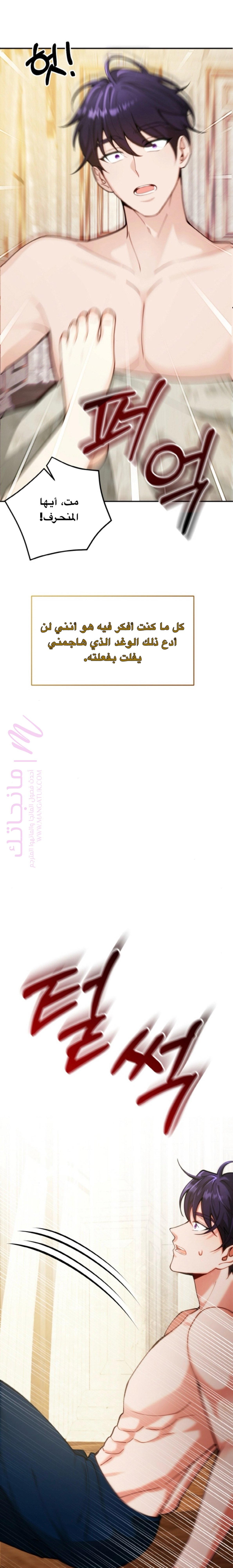الصفحة 25