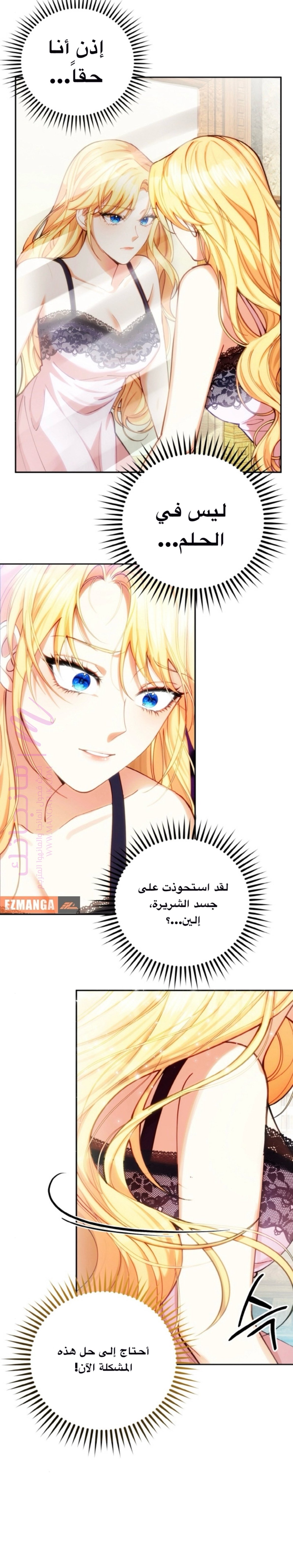 الصفحة 40