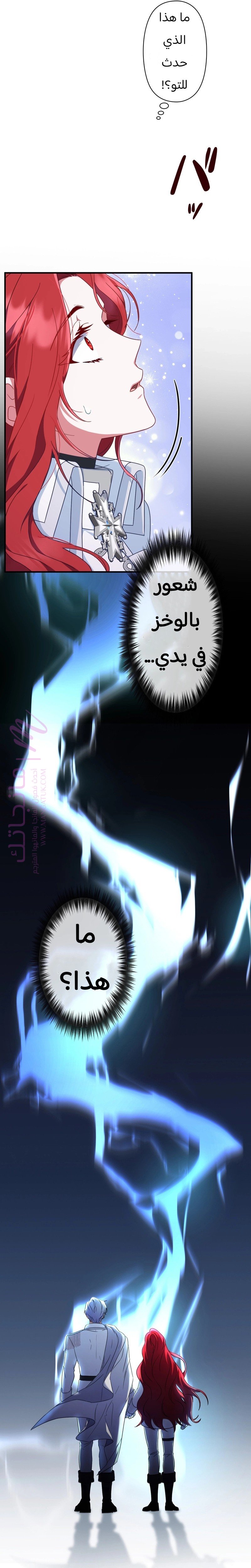 الصفحة 13