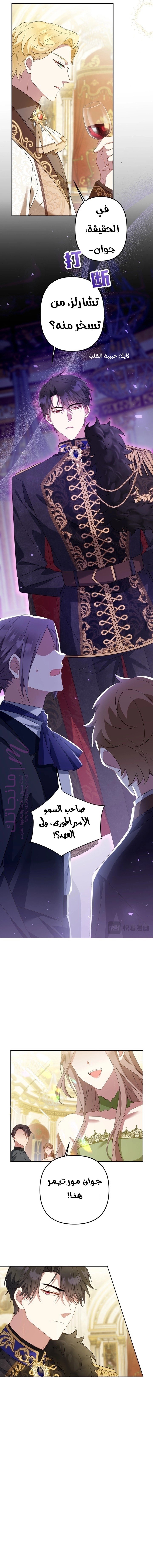 الصفحة 6
