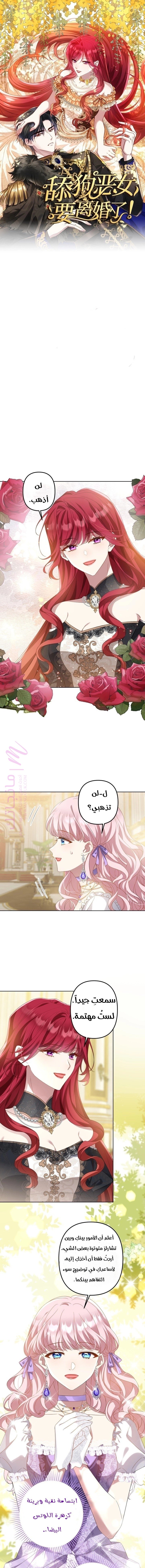 الصفحة 1