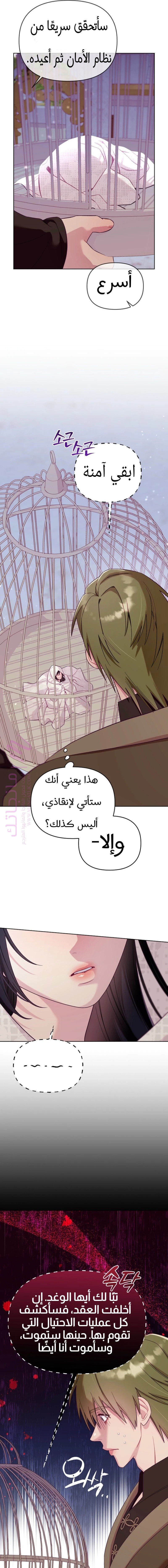 الصفحة 14