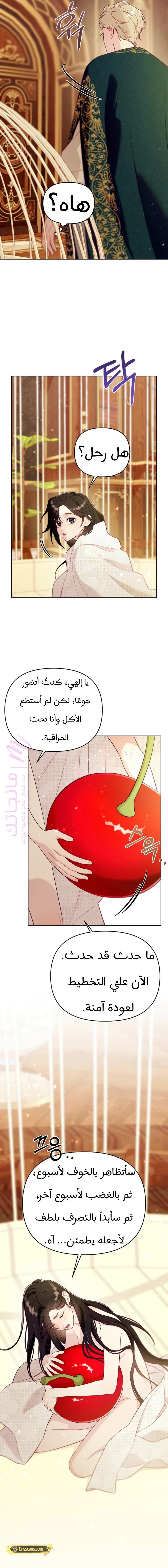 الصفحة 18
