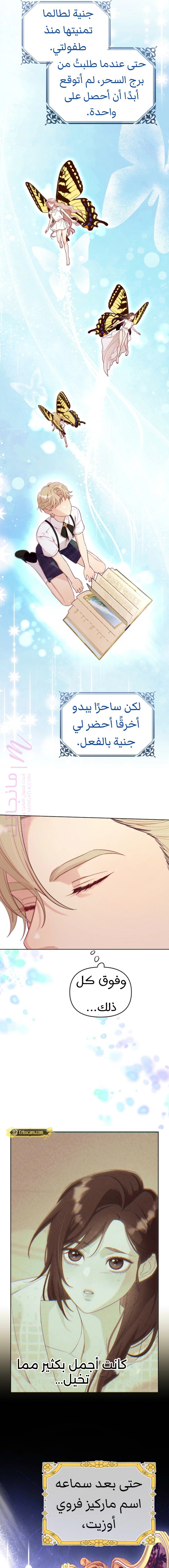 الصفحة 20