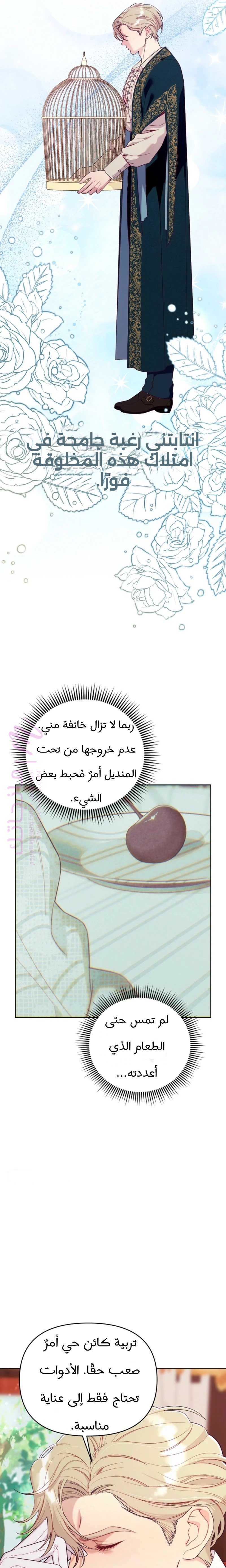 الصفحة 22