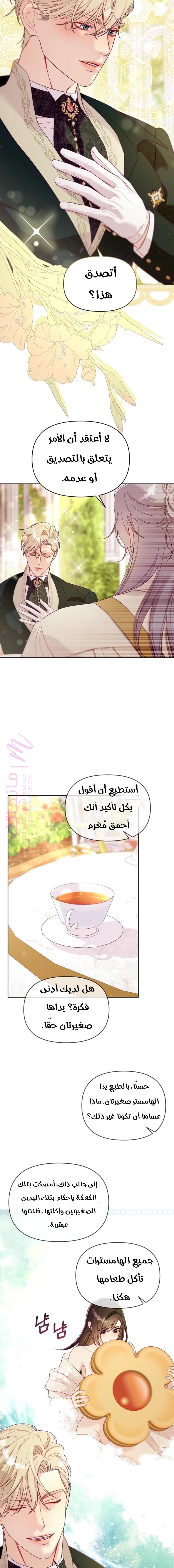 الصفحة 11
