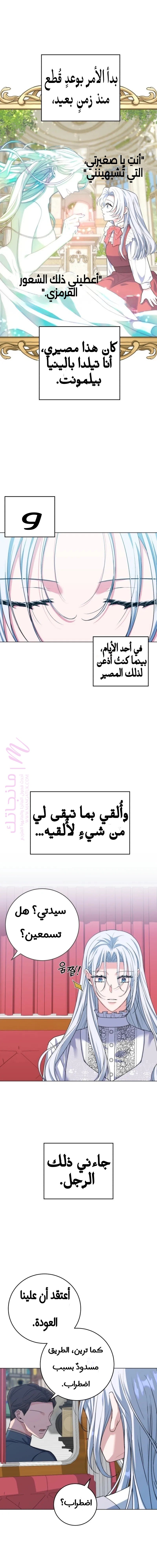 الصفحة 14