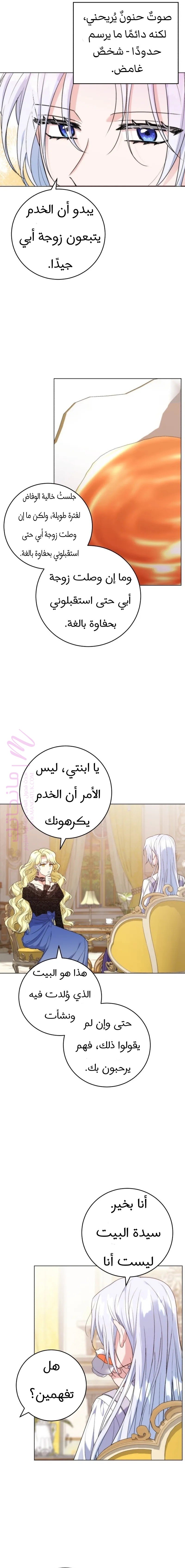 الصفحة 13