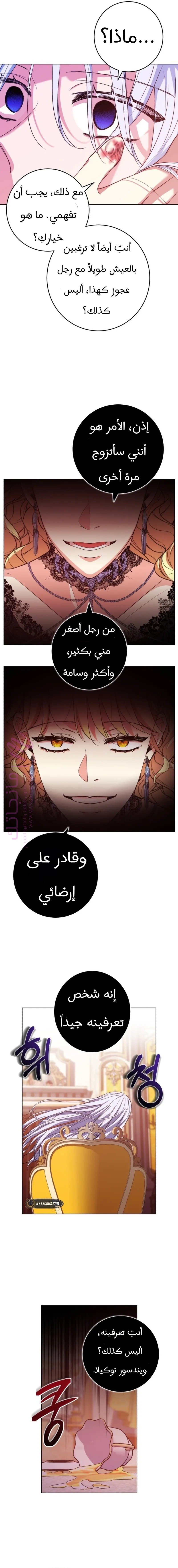 الصفحة 17