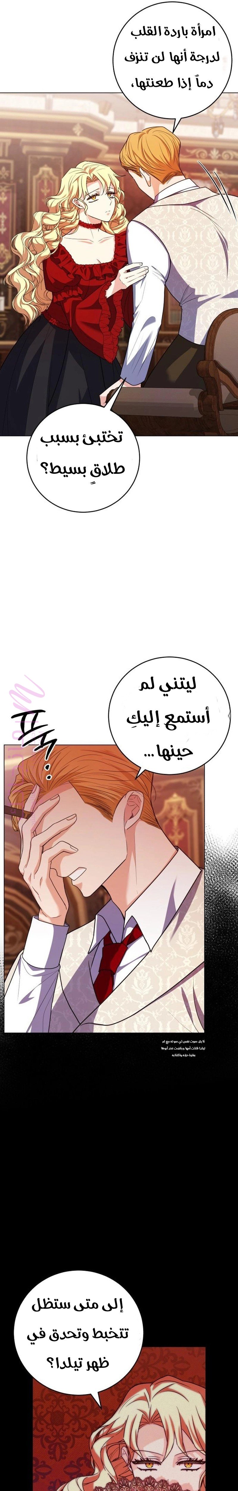 الصفحة 14