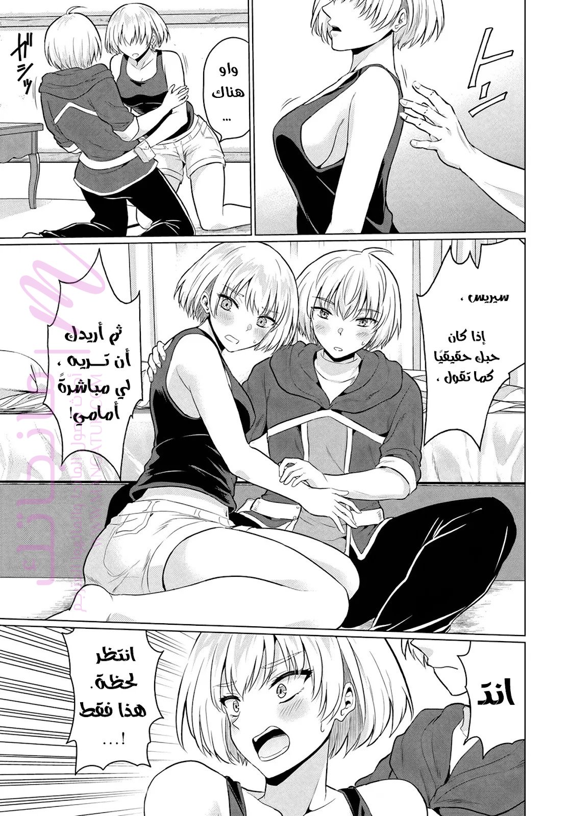 الصفحة 13