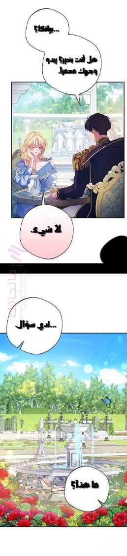 الصفحة 25