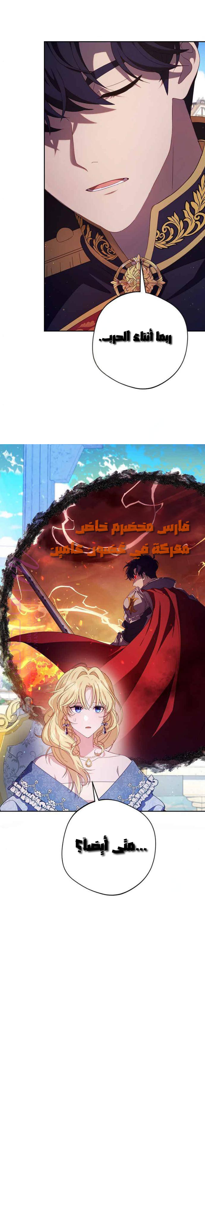 الصفحة 26