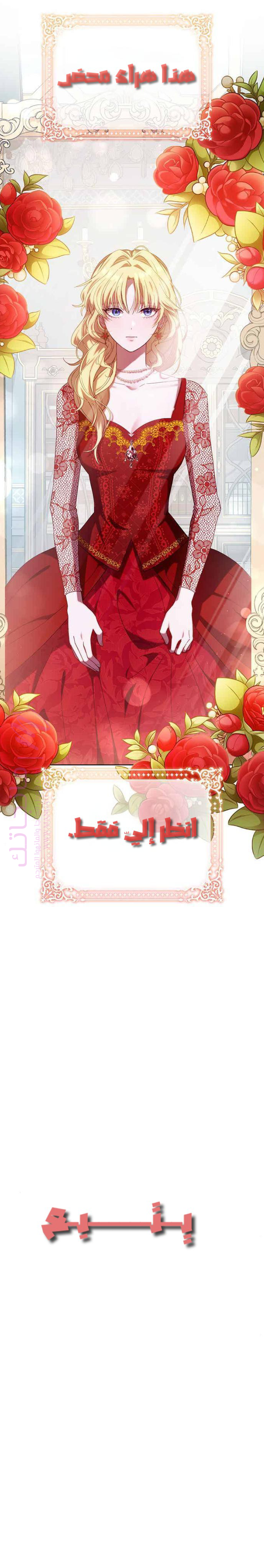الصفحة 41