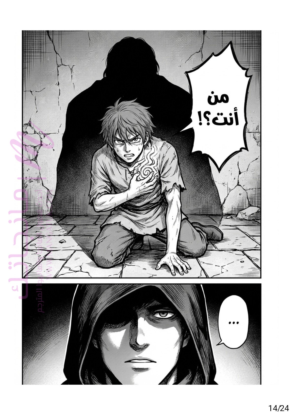 الصفحة 14