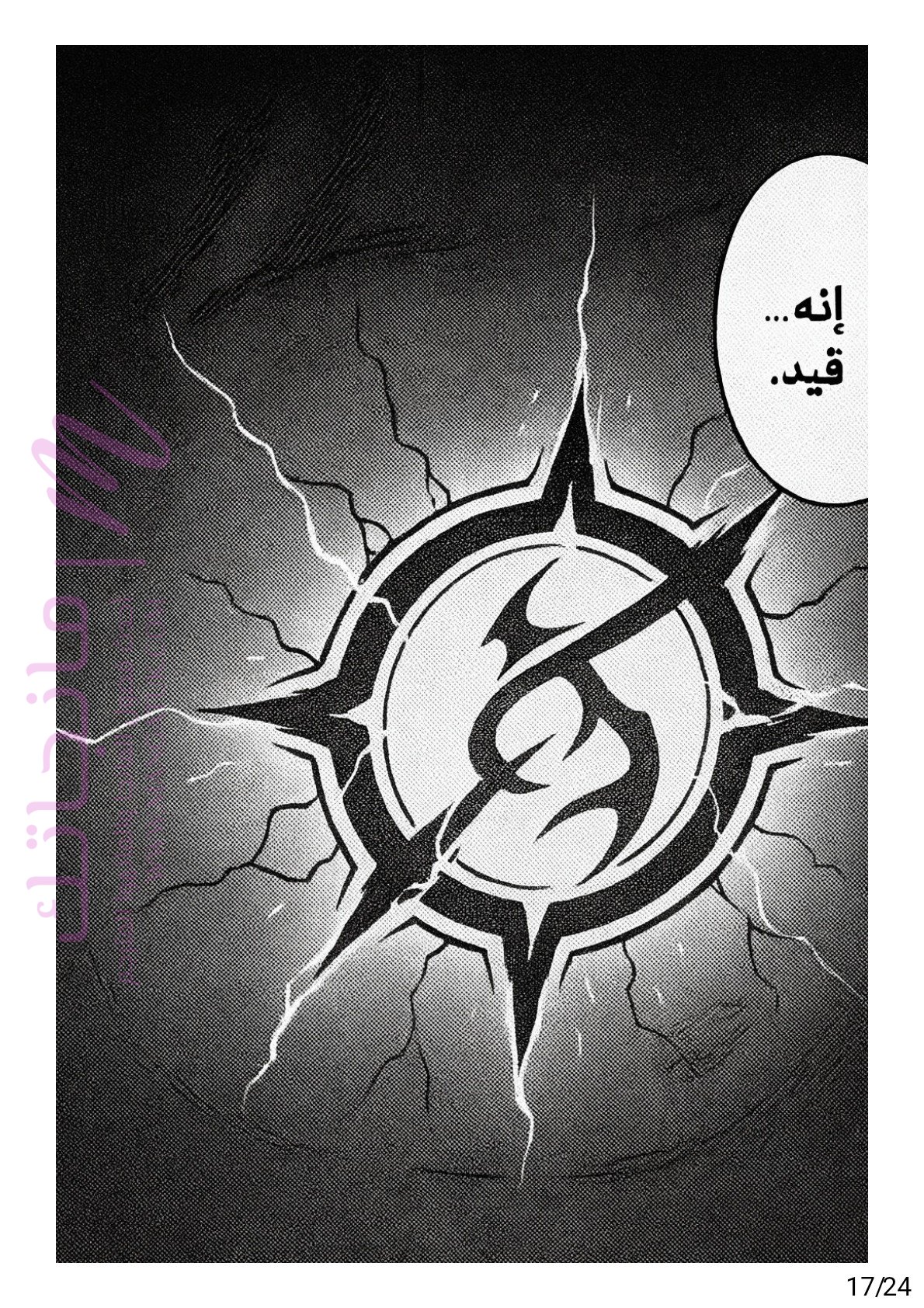 الصفحة 17
