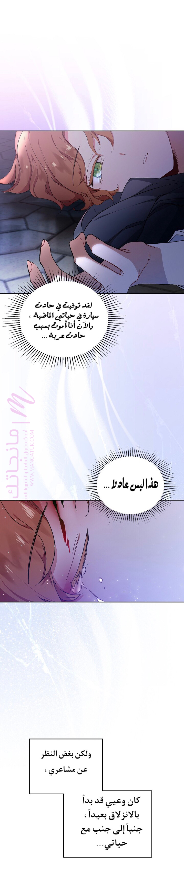الصفحة 31