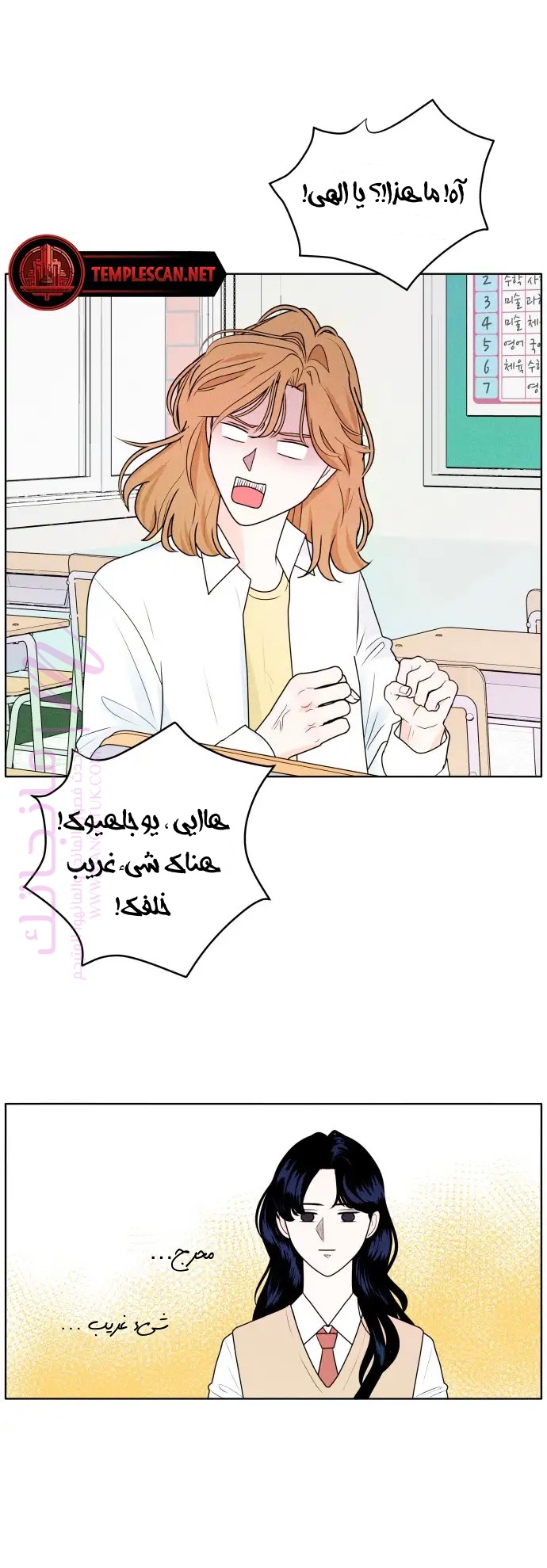 الصفحة 12