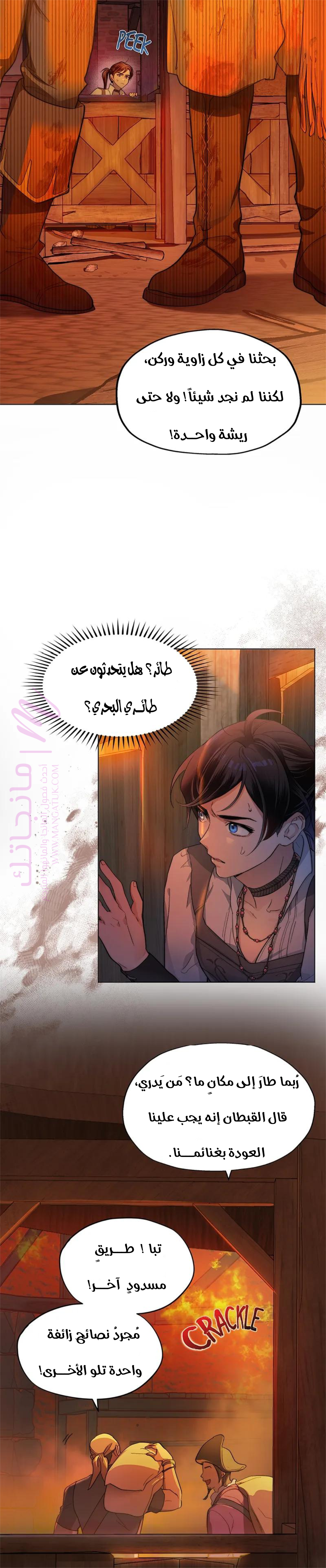 الصفحة 13