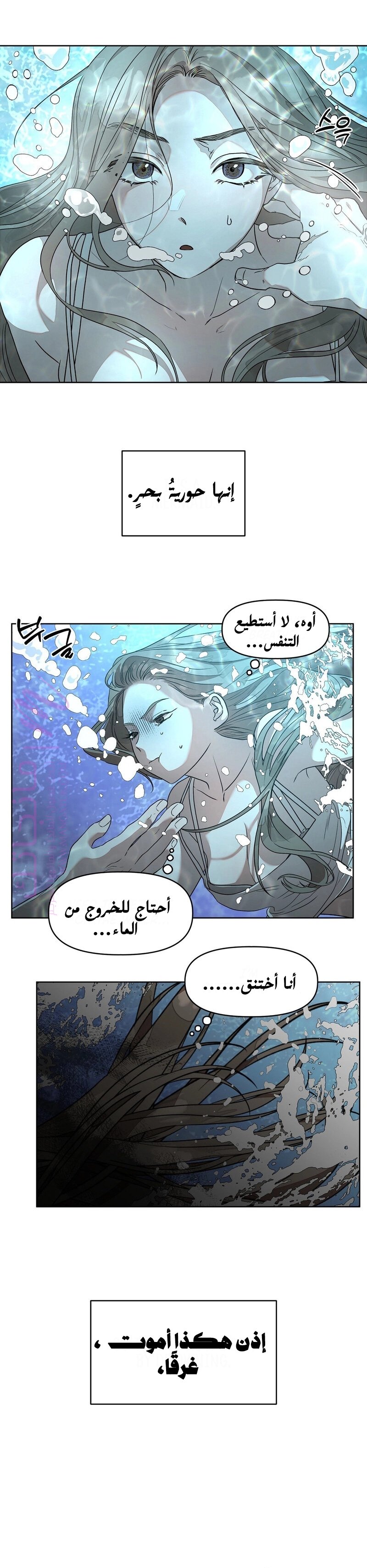 الصفحة 21