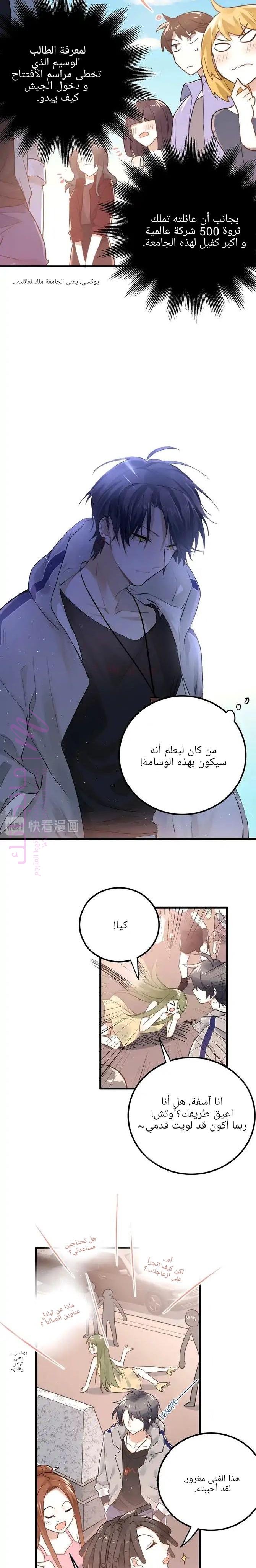 الصفحة 17