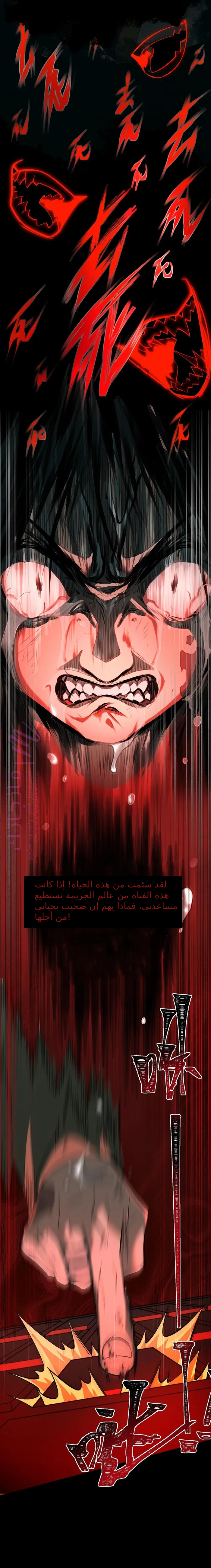 الصفحة 13