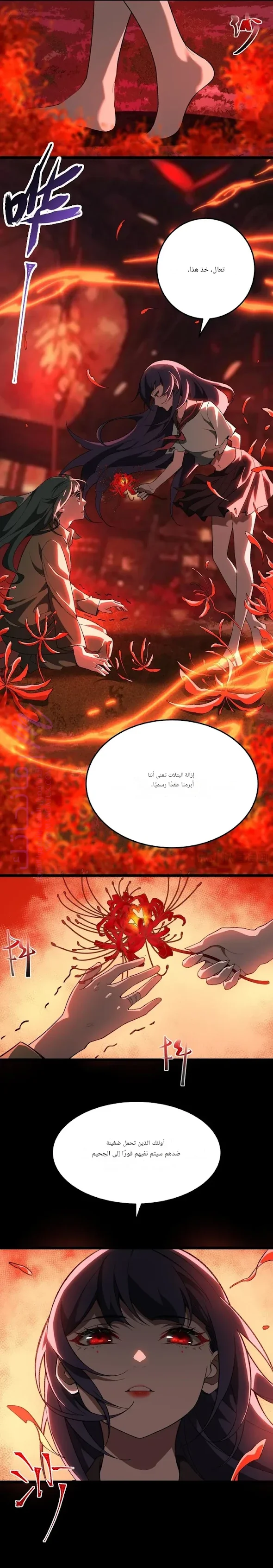 الصفحة 17