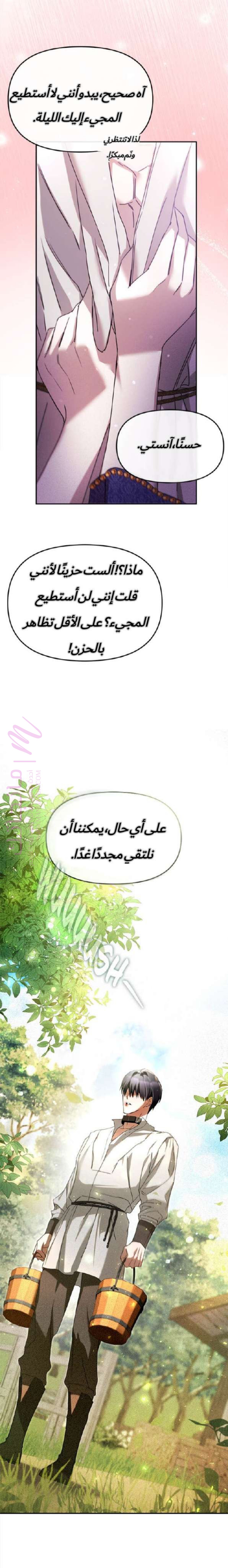 الصفحة 21