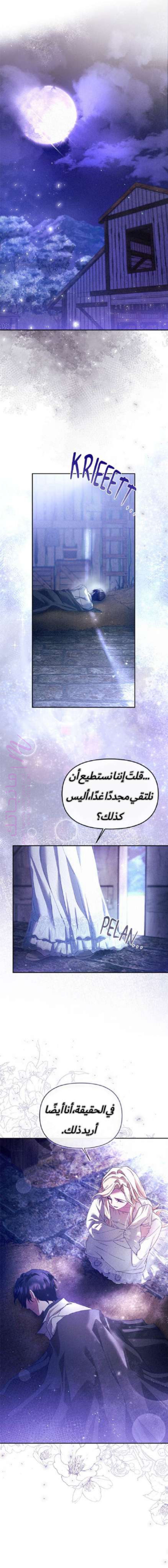 الصفحة 23