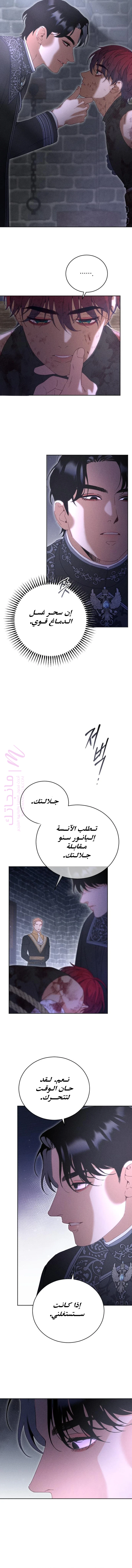 الصفحة 11