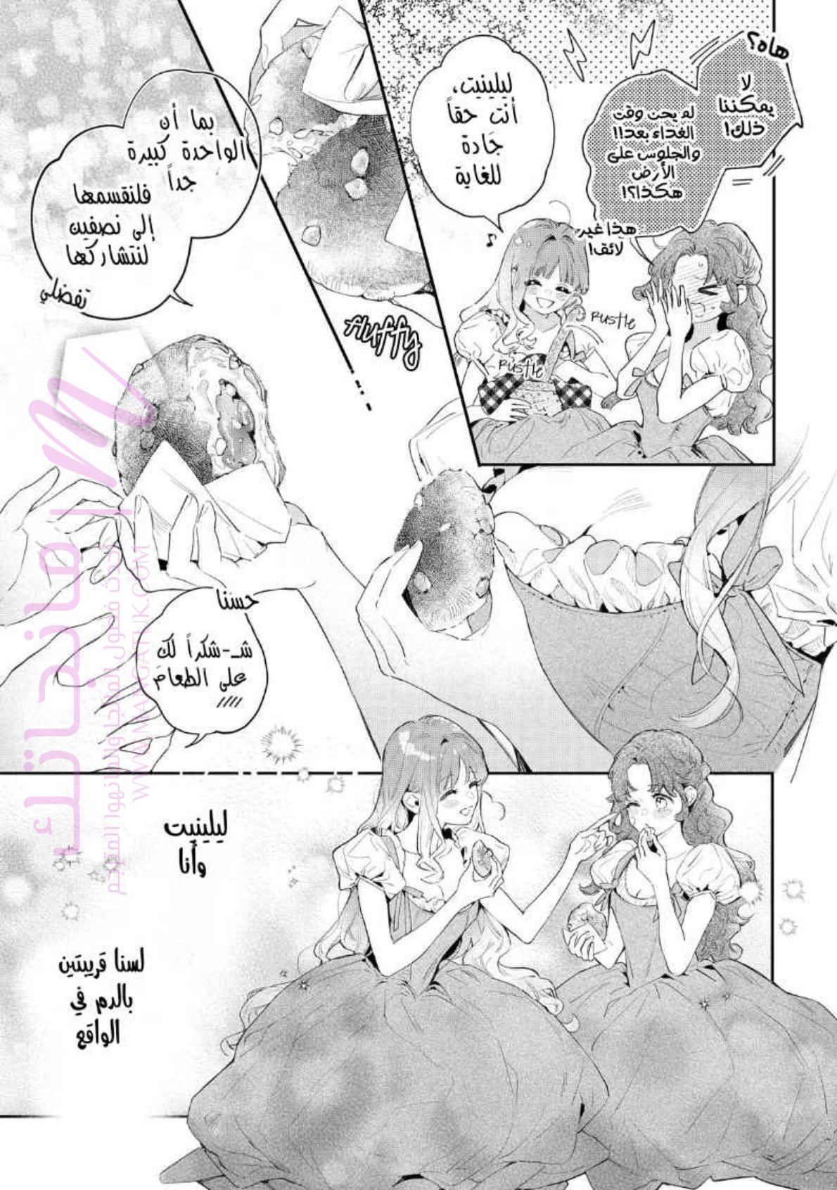الصفحة 12