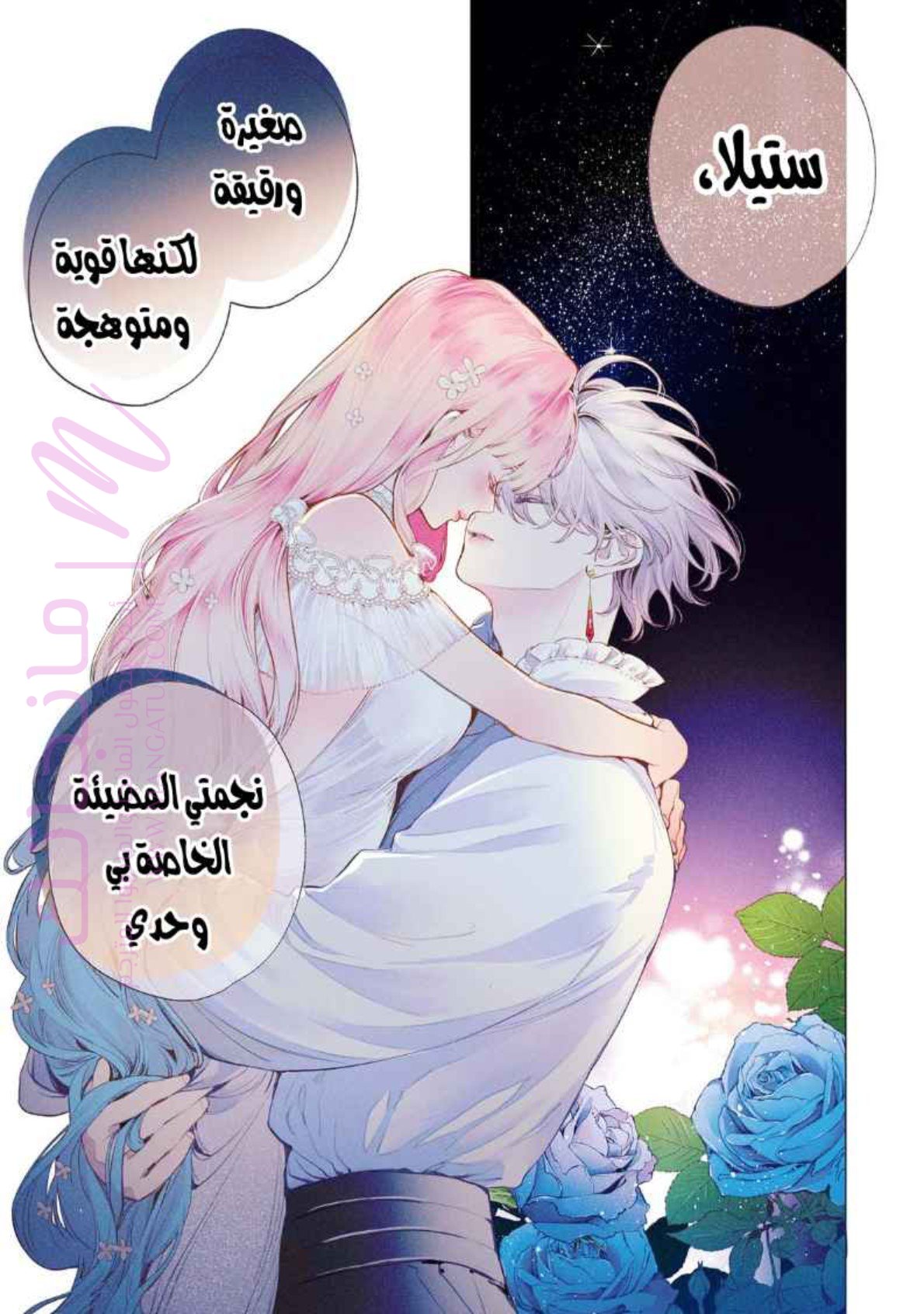 الصفحة 2